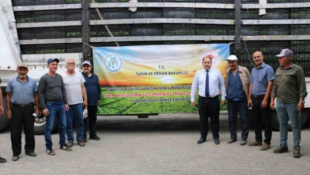 Kışlık sebze fideleri toprakla buluştu