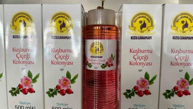 Kızılcahamam'da çamdan sonra kuşburnunun da kolonyası yapıldı