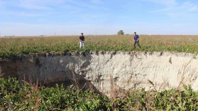 Konya'da pancar tarlasında yeni obruk oluştu