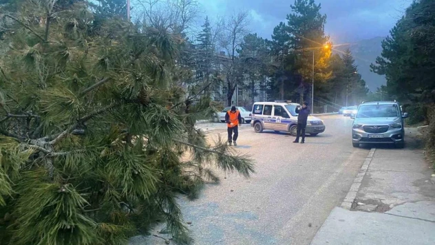 Konya'da şiddetli fırtınada 1 kişi yaralandı