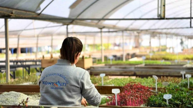 Konyaaltı'nda 2024'te hedef 300 bin çiçek