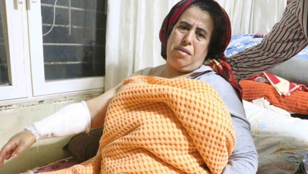 Köpeklerin saldırısına uğrayan kadın yaralandı