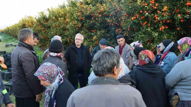 Kozan Belediyesinden narenciye işçilerine moral desteği