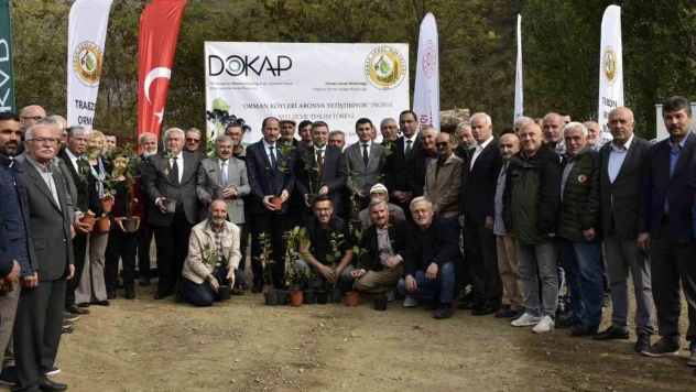 Kürtün süper meyve 'Aronya' ile kalkınacak