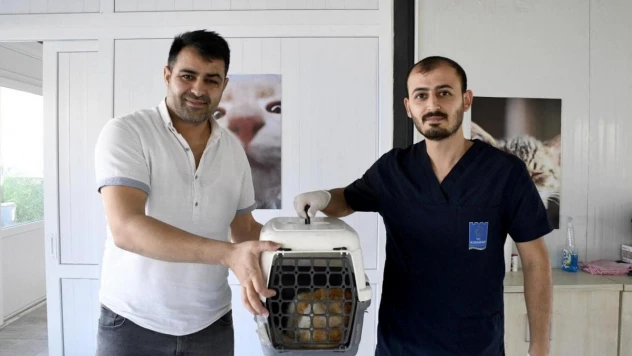 Kuşadası'nda minik patili can dostların sağlığı emin ellerde