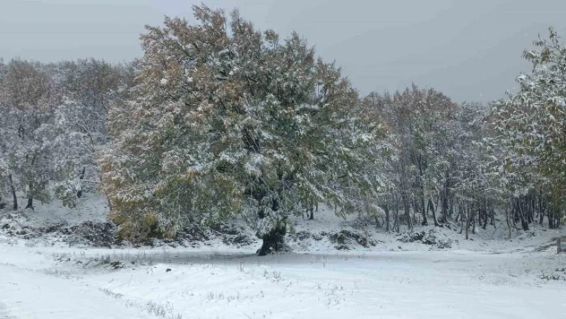 Lapseki'de Dumanlı Dağı'na mevsimin ilk karı yağdı