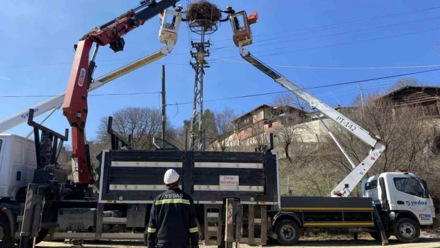 Leyleklere güvenli yuva