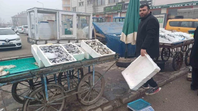 Malazgirt'te balık bolluğu yaşanıyor