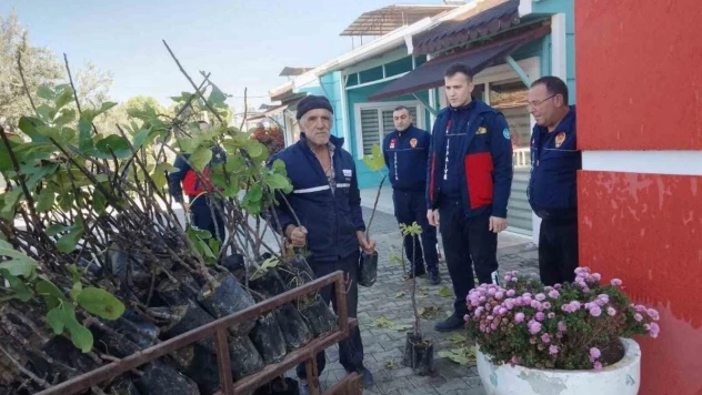 Manisalı üreticilere 116 bin 410 adet fidan desteği
