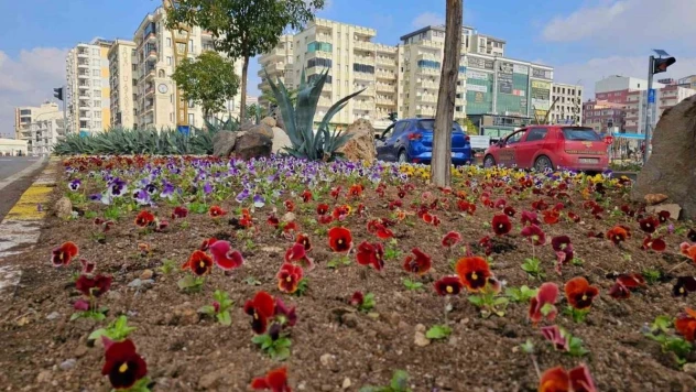 Mardin'de 110 bin çiçek kavşak ve refüjlere dikildi
