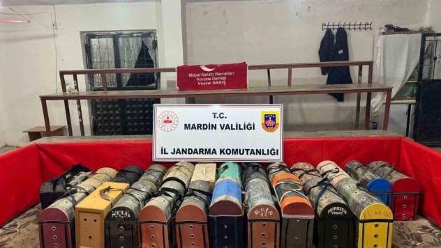 Mardin'de 54 horozu dövüştüren 83 kişiye 578 bin lira ceza