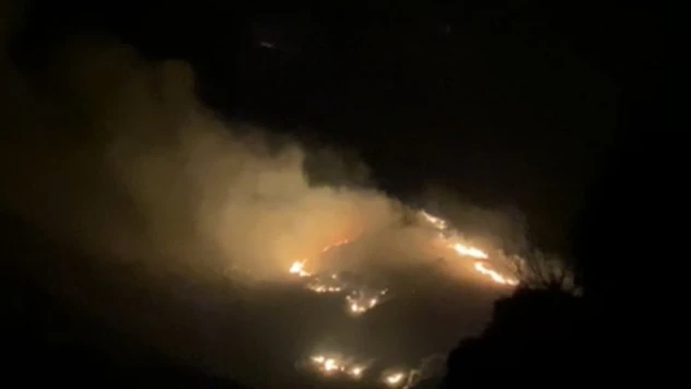 Marmara Adası'nda arazi yangını başladı