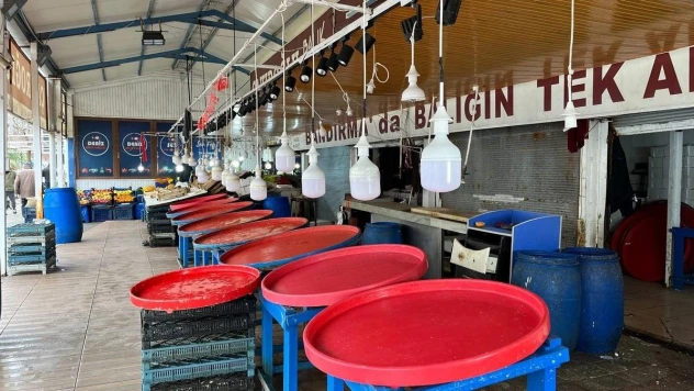 Marmara'da hava bozdu, balık fiyatları fırladı