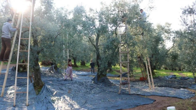 Marmarabirlik'ten 36 milyon TL'lik ödeme