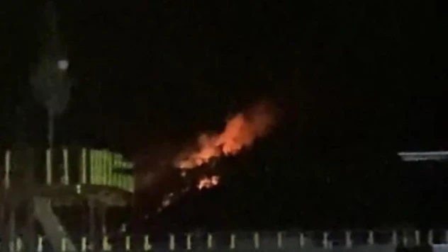 Marmaris'te orman yangını