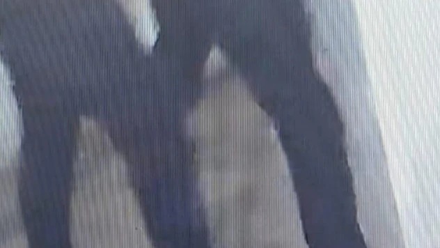 Maskeli hırsızlar polisten kaçamadı