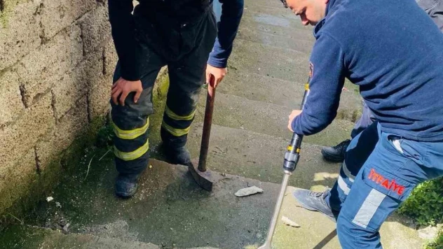 Mazgalın içerisinde mahsur kalan kediyi itfaiye ekipleri kurtardı