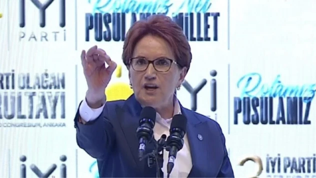 Meral Akşener'den CHP'ye: 'Size hayatta başarılar diliyorum'