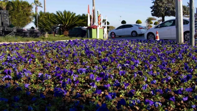 Mersin Büyükşehir Belediyesi yeşil alan bakımlarını sürdürüyor