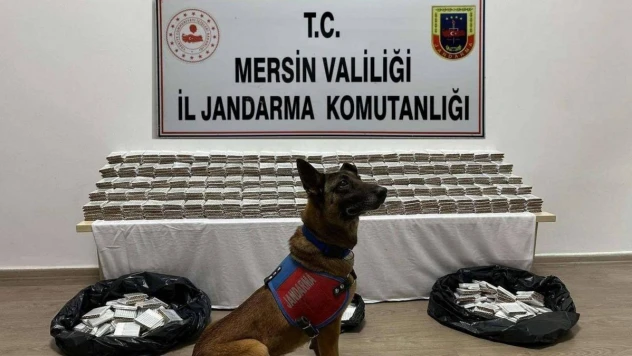 Mersin'de 61 bin 700 adet kaçak makaron ele geçirildi