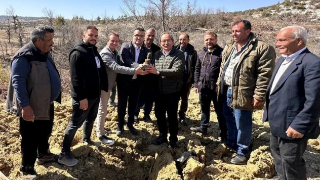 Mersin'de biberiye fidanları toprakla buluşturuldu