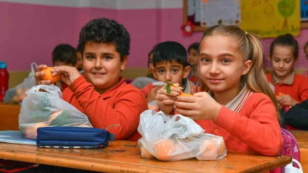 Mersin'deki okullardaki çocuklara 100 ton narenciye dağıtılacak