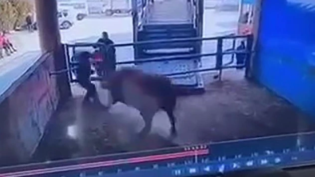 Mezbahada boğanın saldırdığı adam hayatını kaybetti, o anlar kamerada