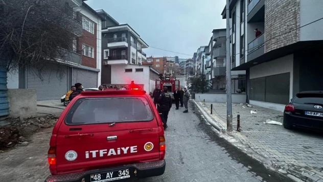 Milas'taki yangın büyümeden söndürüldü