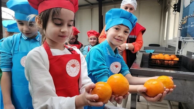 Minik öğrenciler gıda israfını önlemek için evde bulunan meyvelerden reçel yaptı