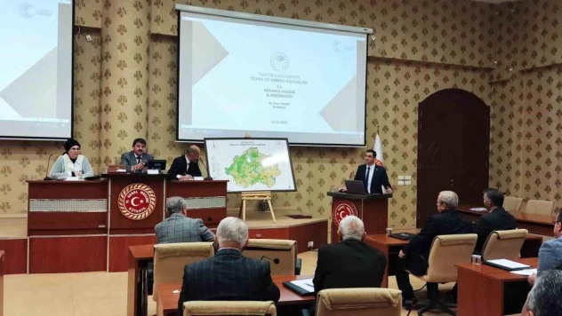 Müdür Yeniay, İl Genel Meclisinde sunum yaptı