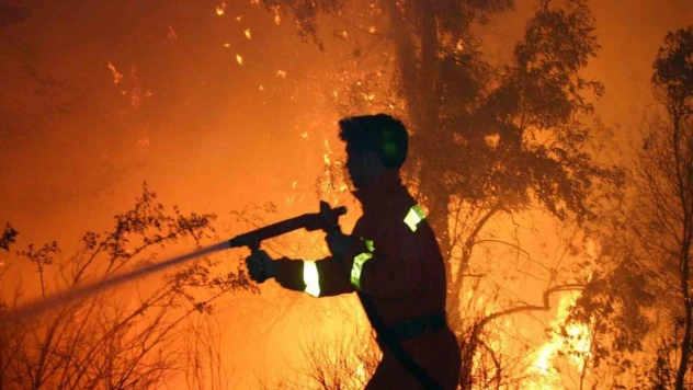 Muğla ve Aydın'da 502 yangında 819 hektar alan yandı