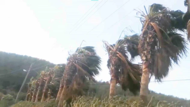 Muğla'ya şiddetli yağış sonrası fırtına uyarısı