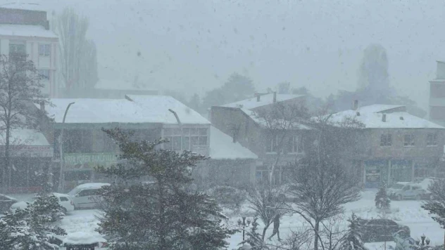 Muradiye'de kar yağışı