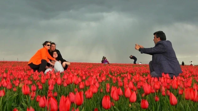 Muş'ta 15 günlük lale devri başladı