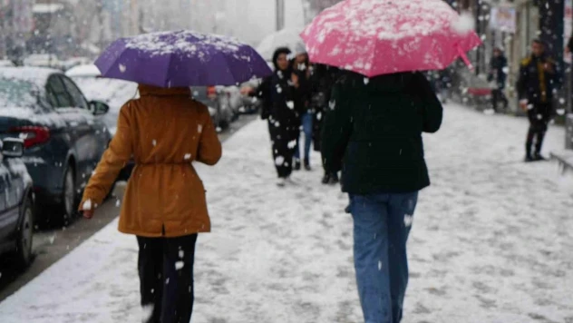 Muş'ta kar yağışı