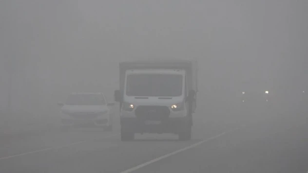 Muş'ta sis etkili oldu
