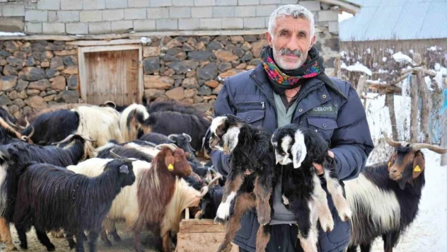 Muş'ta yüksek rakımlı köyler kara gömüldü