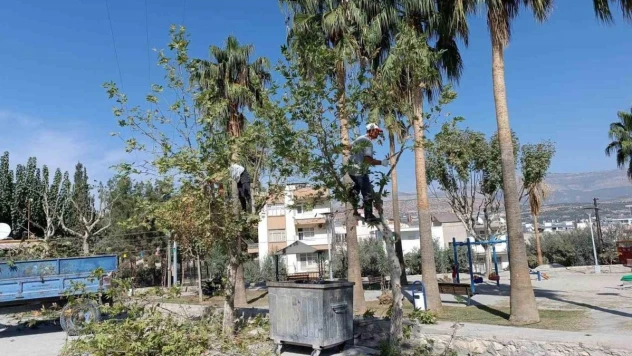 Mut'ta yol, park ve bahçelerin kışlık bakımı yapılıyor