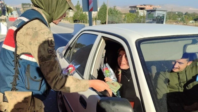 Nusaybin'de jandarma ekipleri kadınlara karanfil verdi, KADES'i tanıttı