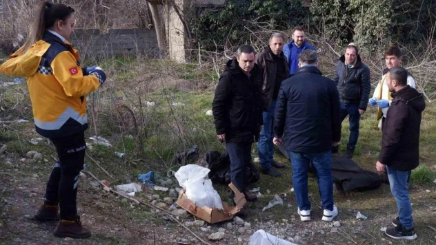 Odun keserken hayatını kaybetti