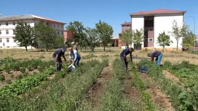 Öğrenciler, atıl durumdaki alanı tarıma kazandırdı