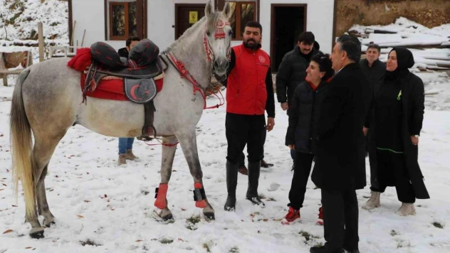 Öğretmenler at çiftliğini ziyaret etti