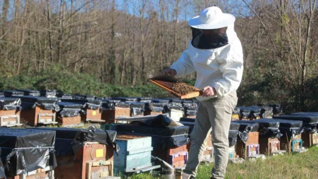 Ordu'da arıcılar yeni sezona hazırlanıyor