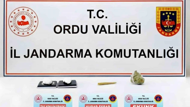 Ordu'da uyuşturucu operasyonu: 1 tutuklama