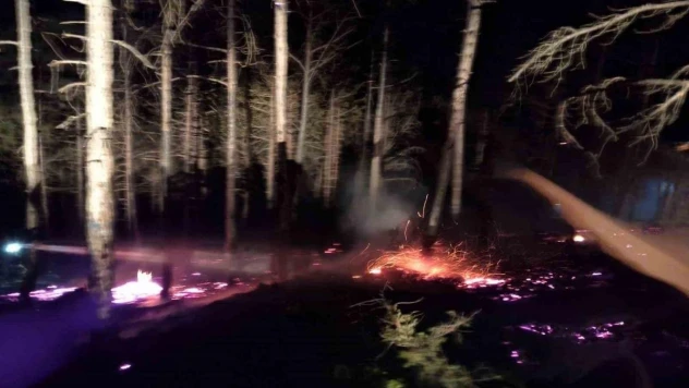 Ormanlık alanda çıkan örtü yangını korkuttu