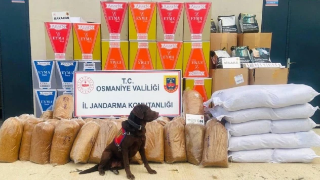 Osmaniye'de 487 kilo kaçak tütün ele geçirildi