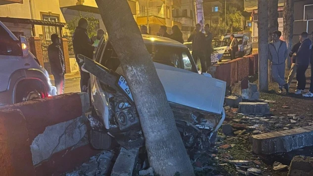 Otomobil parka girdi, ağaçlara çarparak durabildi