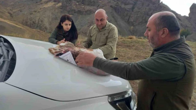 Özalp'ta kaçak avlanan 3 kişi hakkında işlem yapıldı