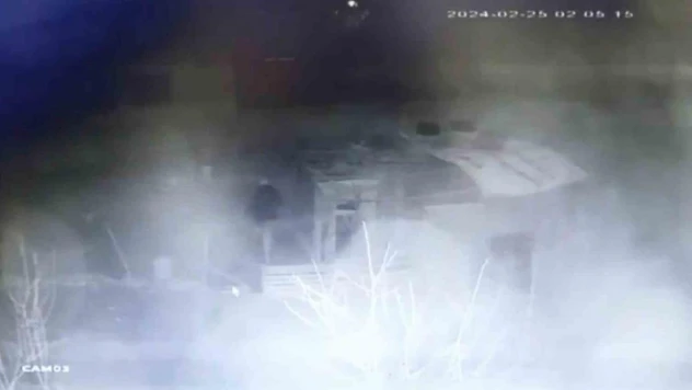 (ÖZEL) Kümes hırsızının rahat tavırlar sergileyerek tavuk çalması güvenlik kamerasında