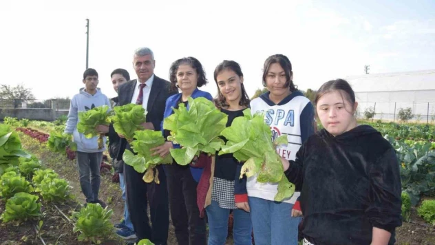 Özel öğrenciler, tarım lisesi öğrencilerinin ürettikleri mantarları ve sebzeleri birlikte topladı